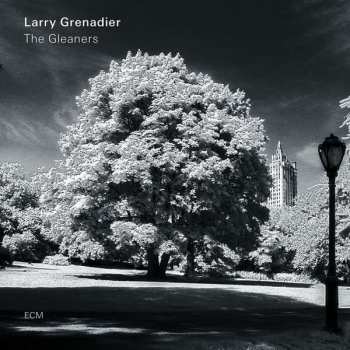 Album Larry Grenadier: The Gleaners