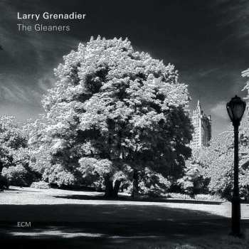 CD Larry Grenadier: The Gleaners 322628