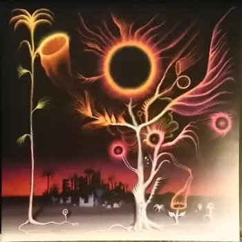 Flowers Are Blooming In Antarctica