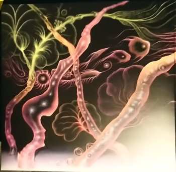 LP Laura Agnusdei: Flowers Are Blooming In Antarctica