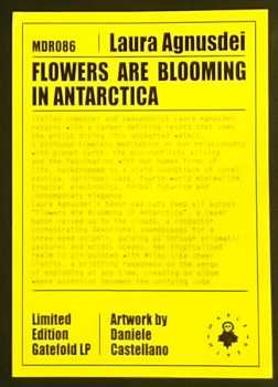 LP Laura Agnusdei: Flowers Are Blooming In Antarctica