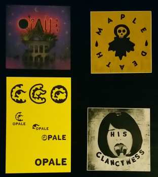 LP Laura Agnusdei: Flowers Are Blooming In Antarctica