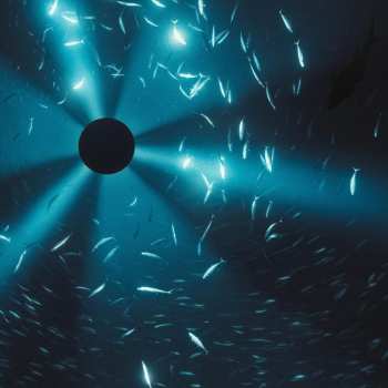 Album Laurel Halo: Midnight Zone