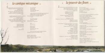 CD Laurent Voulzy: Caché Derrière