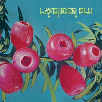 Album The Lavender Flu: Mow The Glass