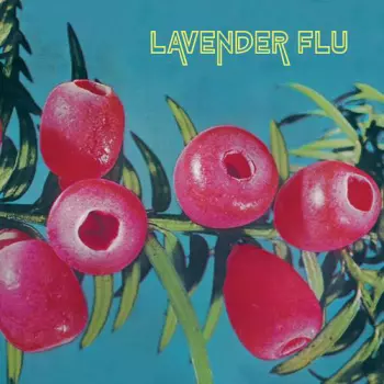 The Lavender Flu: Mow The Glass