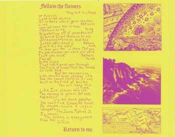 CD The Lavender Flu: Mow The Glass