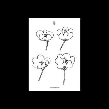 Album Lawrence: Poppies