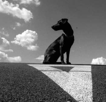 Album Le Payaco: Pohybliví V Nehybnom