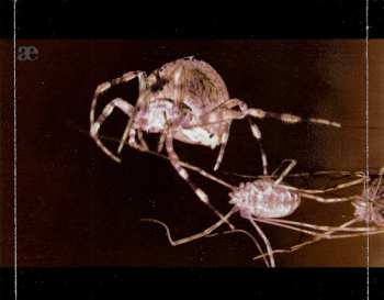 3CD/Box Set Leæther Strip: After The Devastation LTD