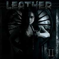 CD Leather: II 295068