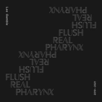 Album Lee Gamble: Flush Real Pharynx 2019-2021