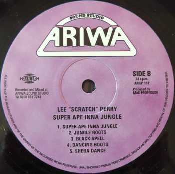 LP Lee Perry: Super Ape Inna Jungle 383897