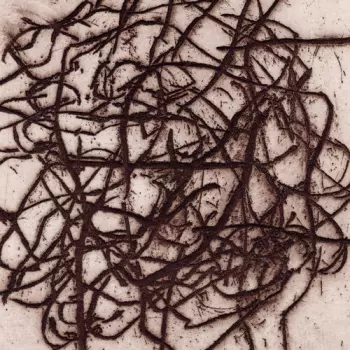 Leimer,k. / Barreca,marc: Arrhythmian