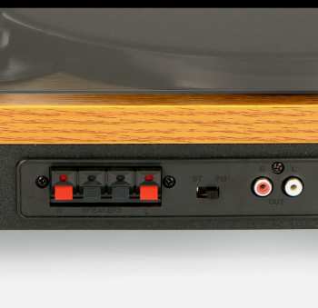 Audiotechnika Lenco LS 300 - Gramofon se samostatnými reproduktory Dřevo