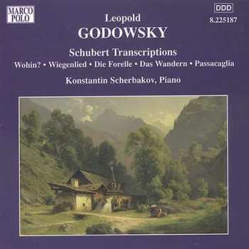 Album Leopold Godowsky: Klavierwerke Vol.6