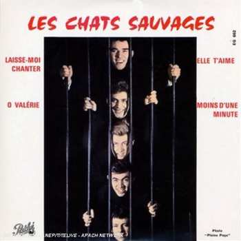 Album Les Chats Sauvages: Laisse-moi Chanter