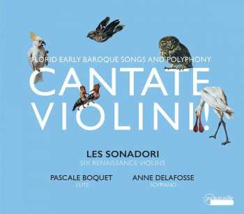 Album Les Sonadori: Cantate Violini! - Florid Early Baroque Songs And Polyphony