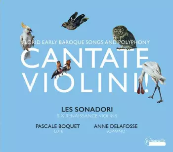 Cantate Violini! - Florid Early Baroque Songs And Polyphony