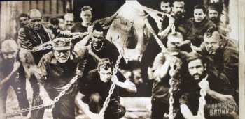 2CD Les Tambours Du Bronx: [CORЯOS]