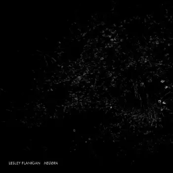 Lesley Flanigan: Hedera