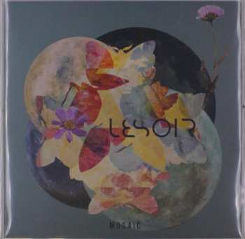 Album Lesoir: Mosaic