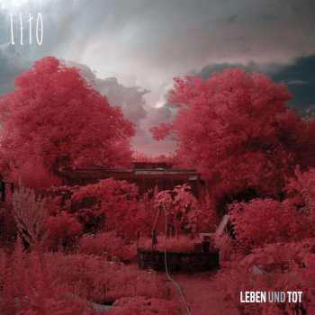 Album Leto: Leben Und Tot