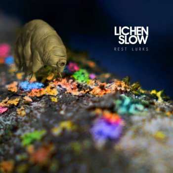 CD Lichen Slow: Rest Lurks 413181