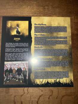 LP L.I.E.S.: Mind Pollution CLR | LTD