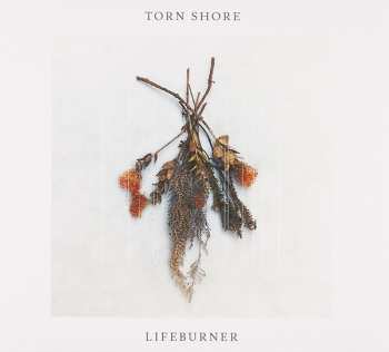 Album Torn Shore: Lifeburner