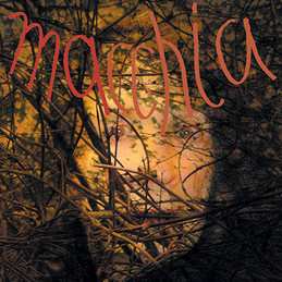 Album Limpe Fuchs: Macchia Forest