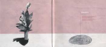 CD Liza Anne: Fine But Dying