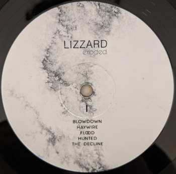 LP Lizzard: Eroded 478548
