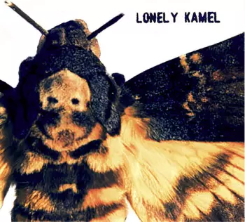 Lonely Kamel: Death's​-​Head Hawkmoth 