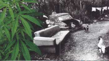 CD Los Cafres: Instinto