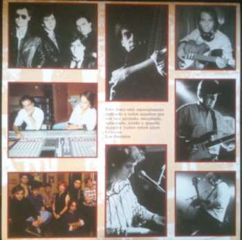 2LP/CD Los Secretos: Grandes Exitos