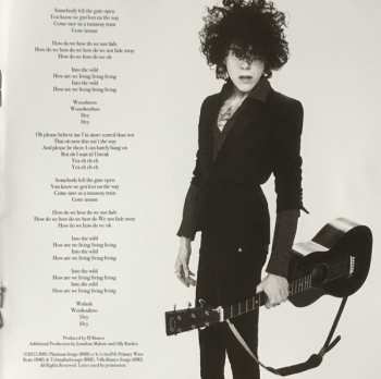 CD LP (Laura Pergolizzi): Lost On You