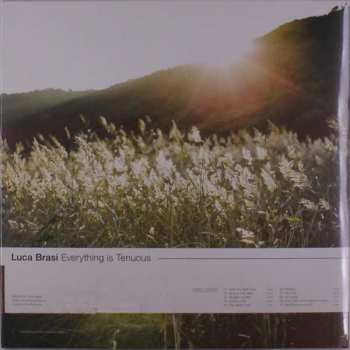 Album Luca Brasi: Everything Is Tenuous