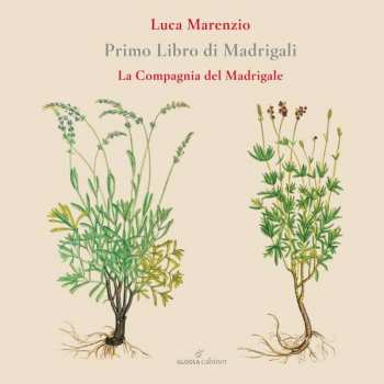 Album Luca Marenzio: Madrigali Libro 1