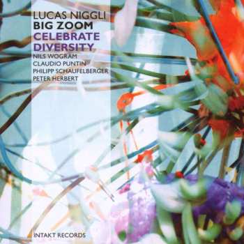 Album Lucas Niggli Big Zoom: Celebrate Diversity
