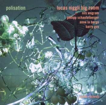 CD Lucas Niggli Big Zoom: Polisation 401313
