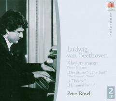 CD Ludwig van Beethoven: Klaviersonaten = Piano Sonatas, Nos.30 & 31 443125