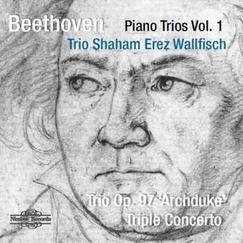 CD Ludwig van Beethoven: Klaviertrios Vol.1 233576