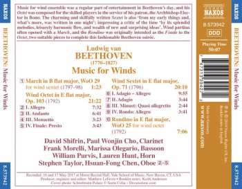 CD Ludwig van Beethoven: Music For Winds 251486