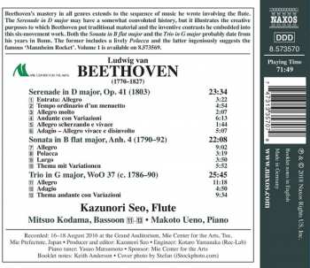 CD Ludwig van Beethoven: Works for Flute • 2 229846