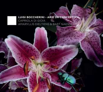Album Luigi Boccherini: Arie Da Concerto
