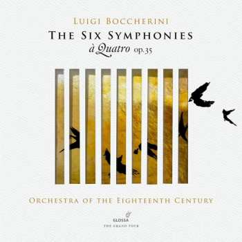Album Luigi Boccherini: The Six Symphonies à Quatro Op.35
