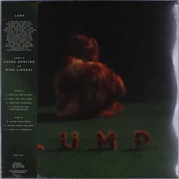 LP LUMP: Lump 494705