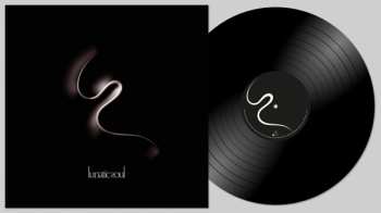 LP Lunatic Soul: Lunatic Soul 461059