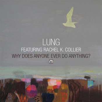 Album Lung.: Why Does Anyone Ever Do Anything?